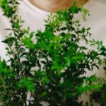 Stylish Sustainability - Woman in White Crew Neck T-shirt Holding Green Plant