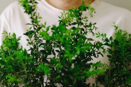 Stylish Sustainability - Woman in White Crew Neck T-shirt Holding Green Plant