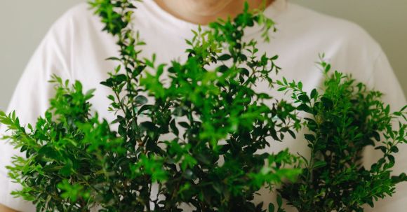 Stylish Sustainability - Woman in White Crew Neck T-shirt Holding Green Plant